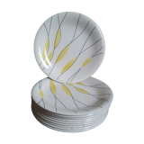 Salins "Moonlight" plates