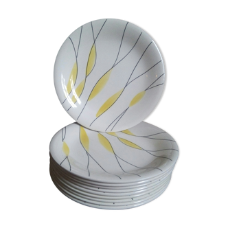 Assiettes Salins " Clair de lune "