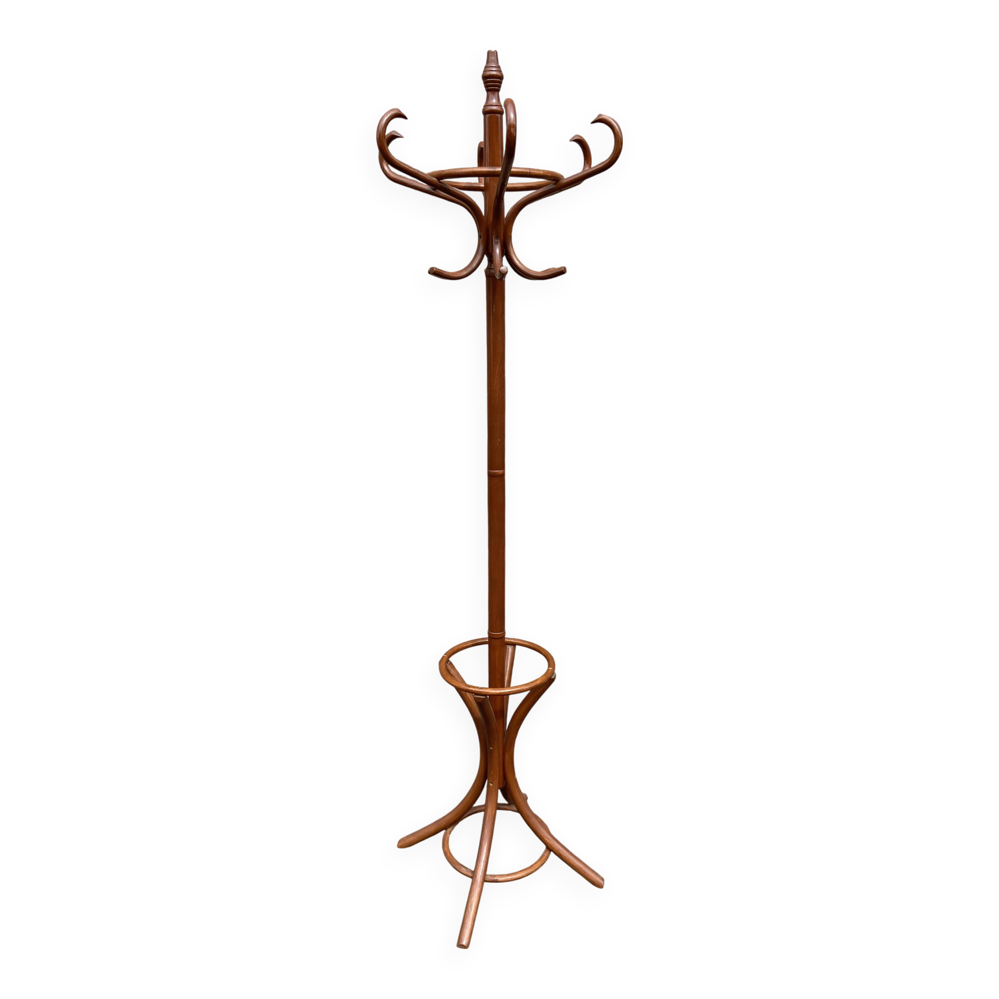 Portemanteau perroquet en bois courbé