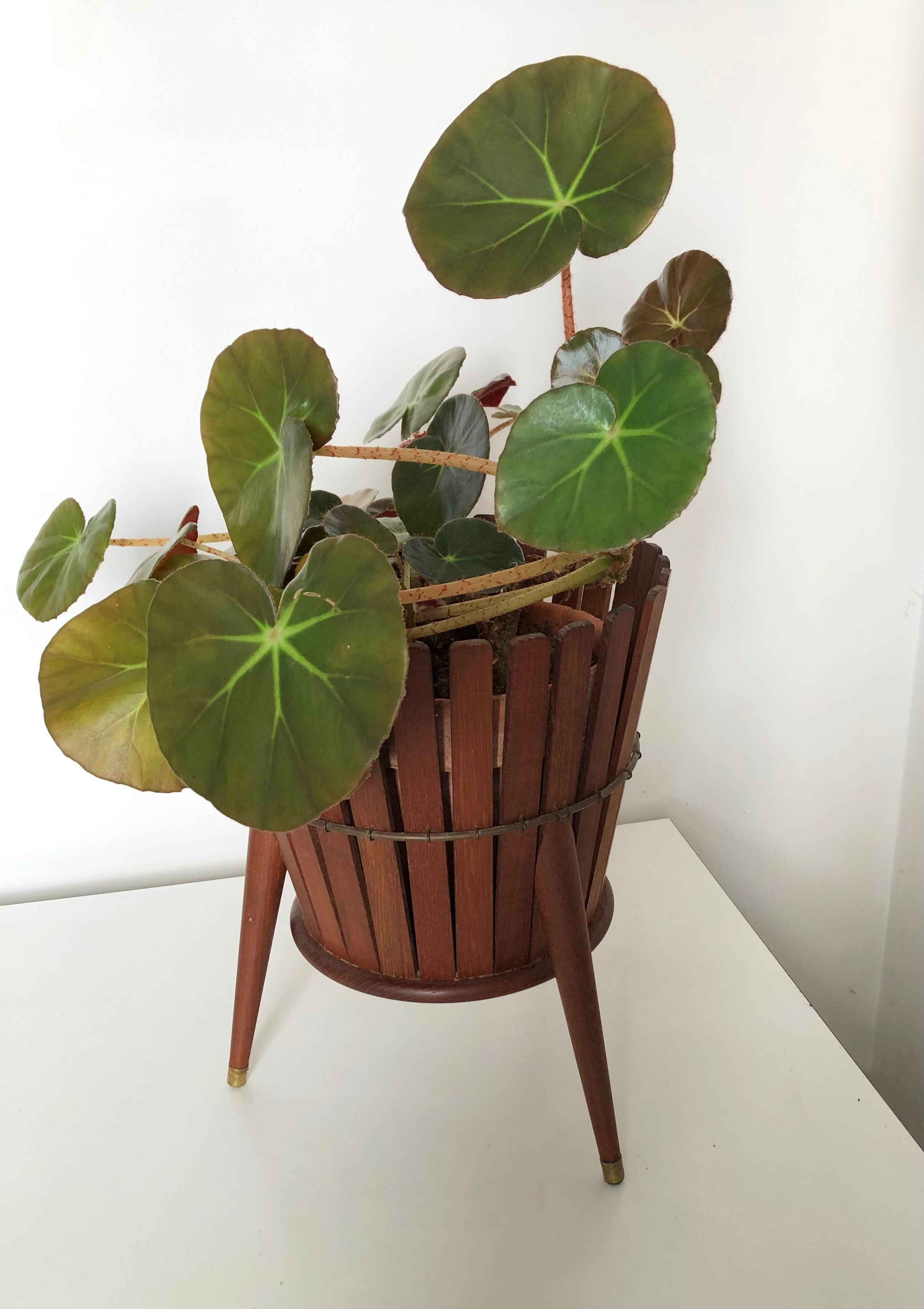 Scandinavian teak pot cover