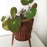 Scandinavian teak pot cover