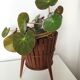 Cache pot scandinave tripode en teck