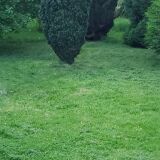 1900s coat rack patina gray mirror brass hooks