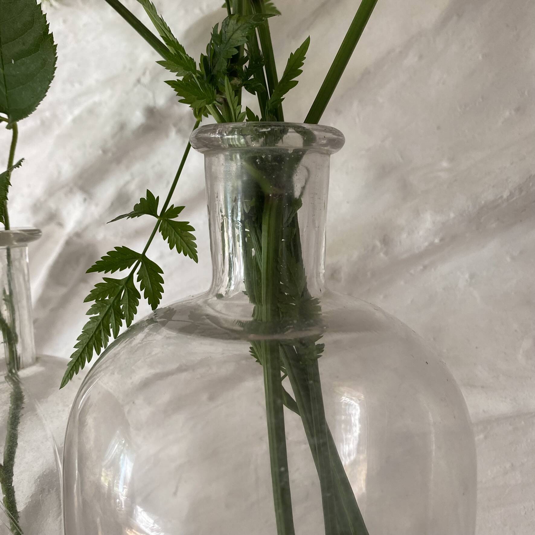 Old glass bottles pharmacy vials