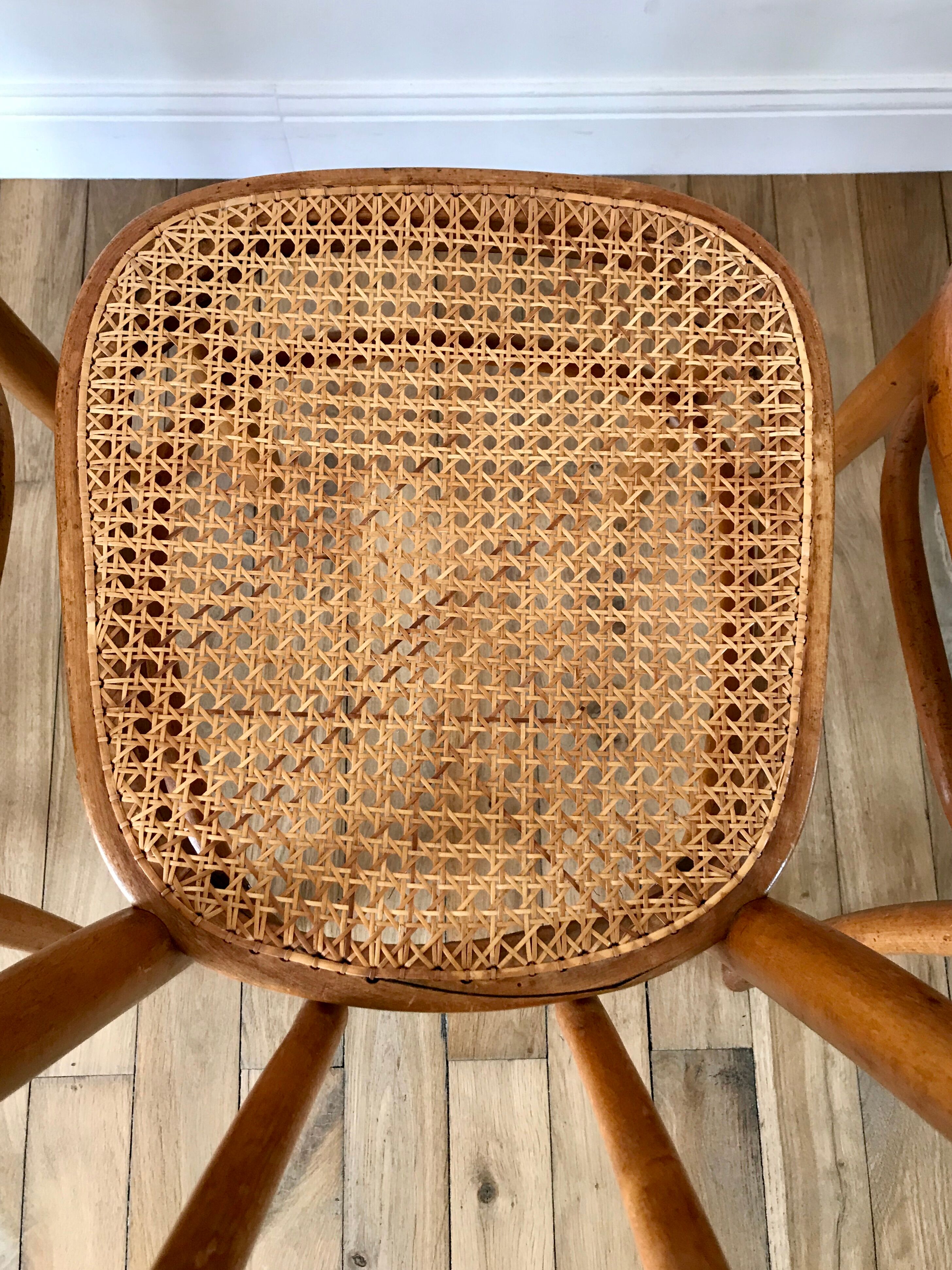 Set of 4 cane chairs in bentwood and honey-coloured cane thonet early 20th century