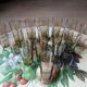 16 vintage smoked glass champagne flutes