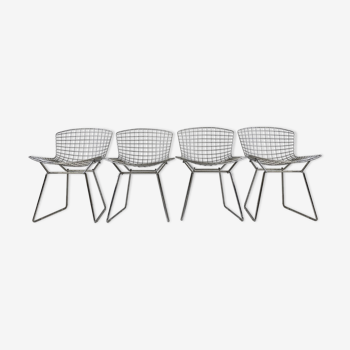 4 chairs by Bertoia Harry for Knoll, 1980