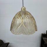 Peil & Putzer glass leaf hanging lamp , 1970’s