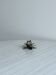 Light metal flower candlestick