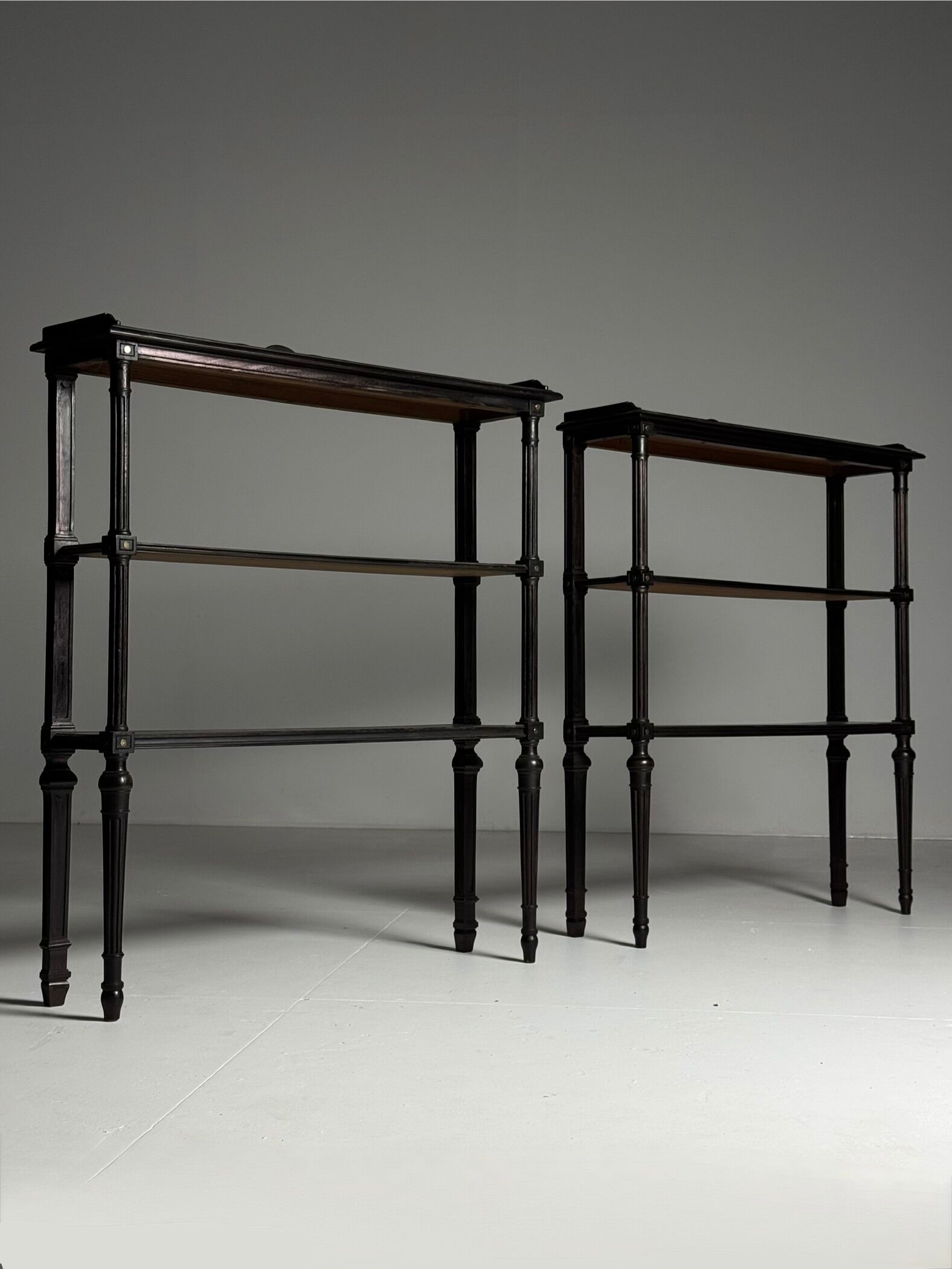Ensemble de 2 étagères vintage