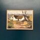 Original Swedish Oil on Canvas – "Farm" by Jörgen Bruun – Signed – Vintage and Framed – 41 × 31 cm (16.1" × 12.2")