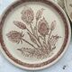 Assiettes vintage