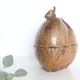 Ice bucket, nature decoration, exotic