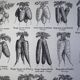Ancienne gravure sur les carottes - 1920