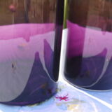 Purple glass vase duo