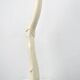 Abstract sculpture, painted wood and steel, American school, c.1960