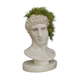 Roman head in waxed plaster