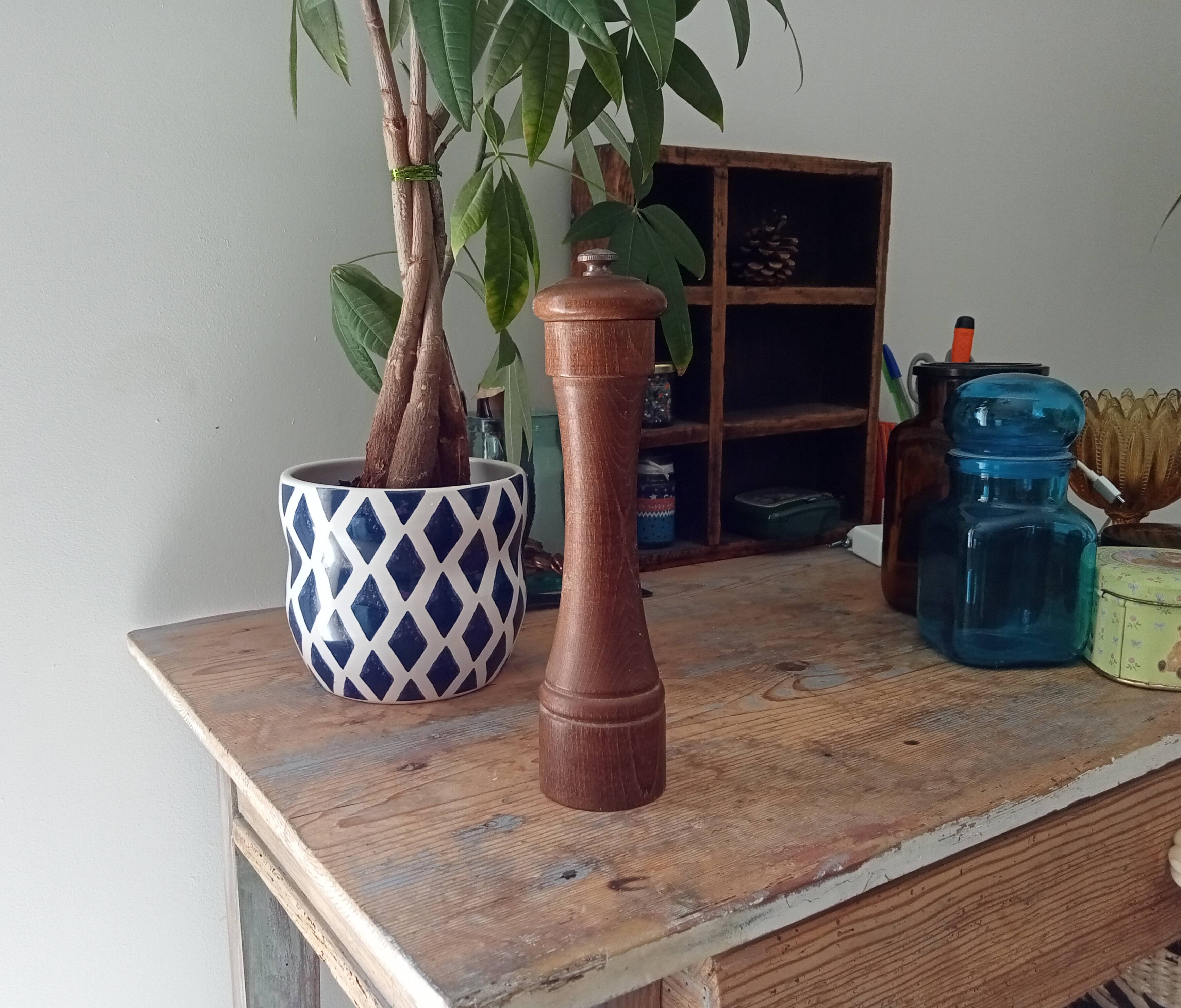 Pepper tree former brothers Peugeot Lion