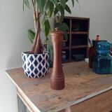 Pepper tree former brothers Peugeot Lion