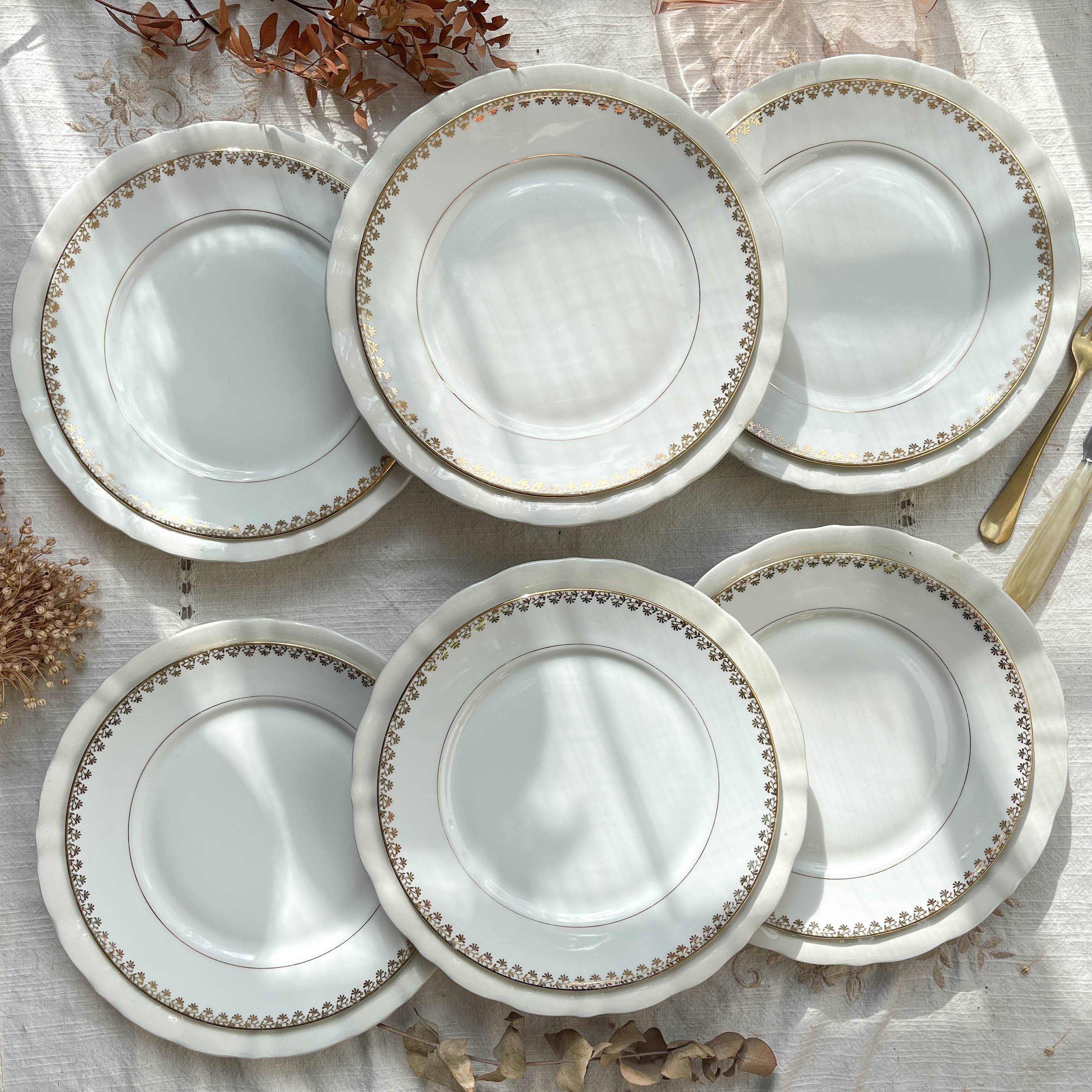 12 Vintage Terre de Fer White Plates + Small Gold White Porcelain Plates LIMOGES