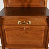 Mahogany Bar Furniture, attributed to Maison E.Diot, Art Nouveau – 1900