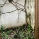 Large antique mirror with bevelled glass bordered by a row of pearls 148 x 88