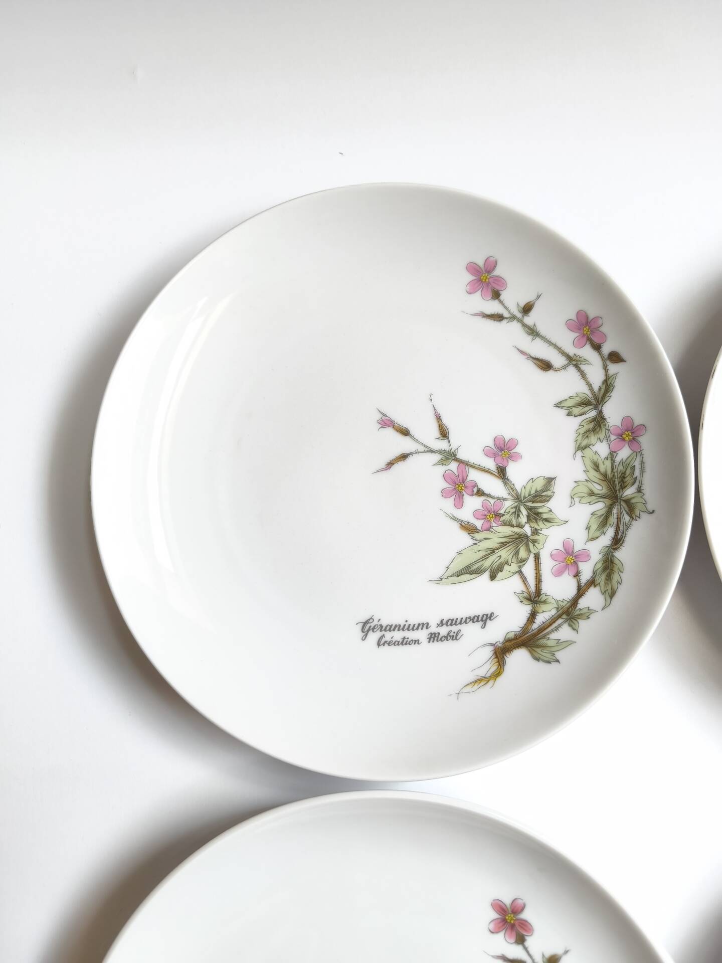 Lot de 6 assiettes à dessert de Bavière mobil décor fleurs roses