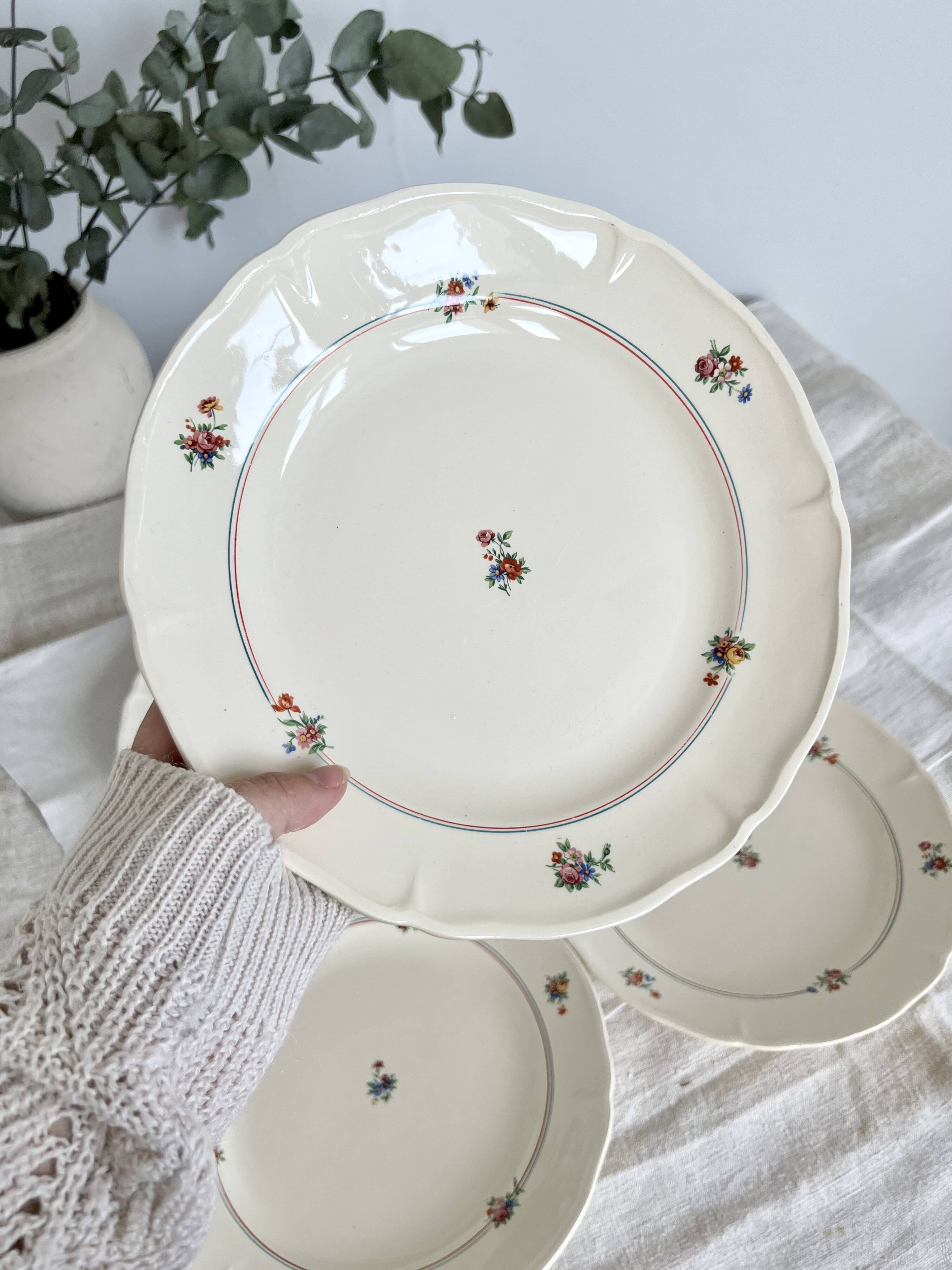 Set of 12 mdl plates - beauce model