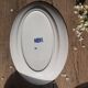 Plat ovale Faïence St Amand