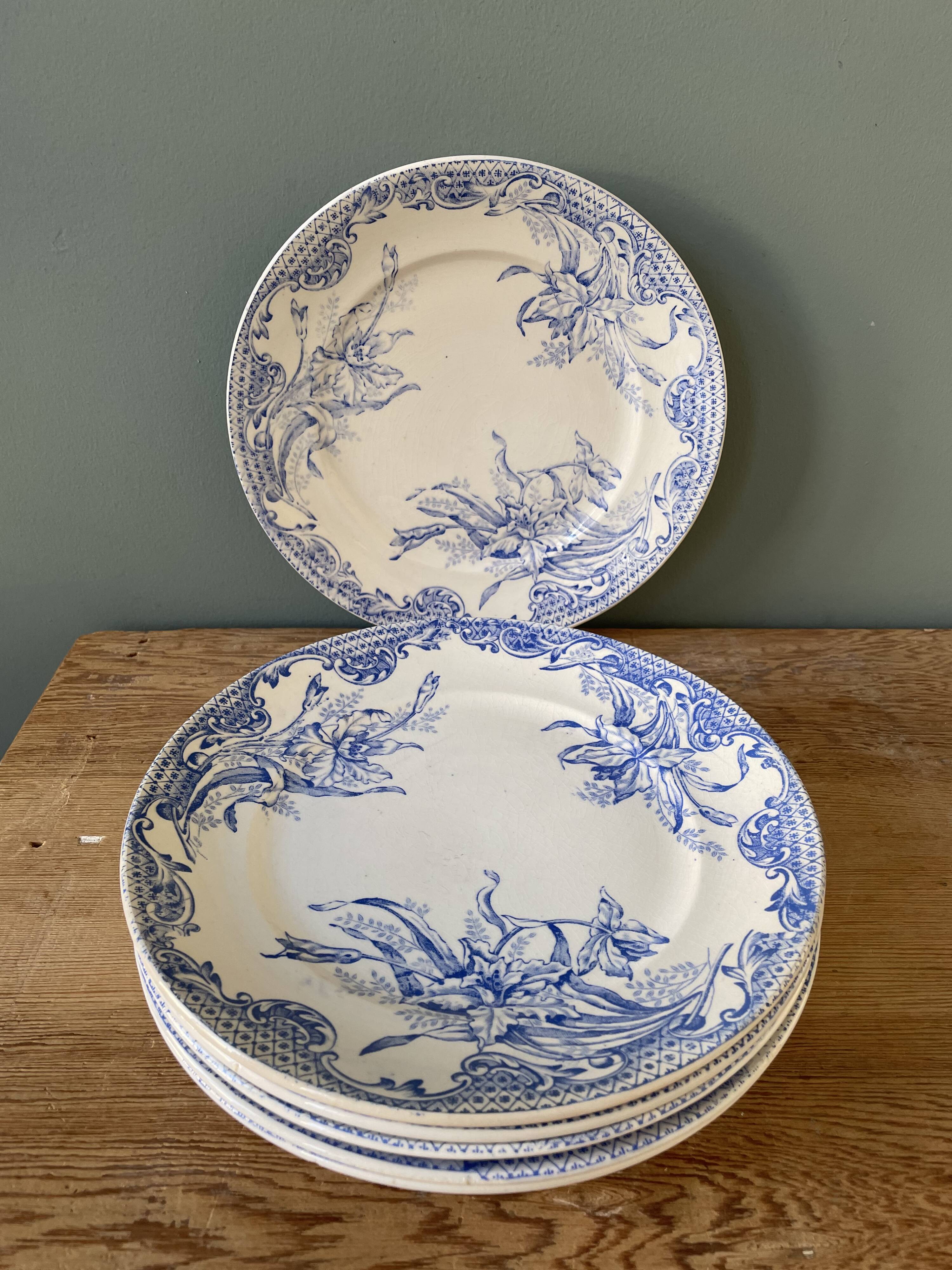 Series of 6 flat plates Iron Earth XIXth