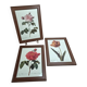 Lot de 3 cadres botaniques P.j. Redouté – Roses & tulipe