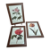 Lot de 3 cadres botaniques P.j. Redouté – Roses & tulipe