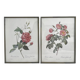 Rose Lithographs by Pierre Joseph Redouté vintage botanical posters