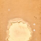 Route forestière, CESARE RIESCH (1906 - 1981)