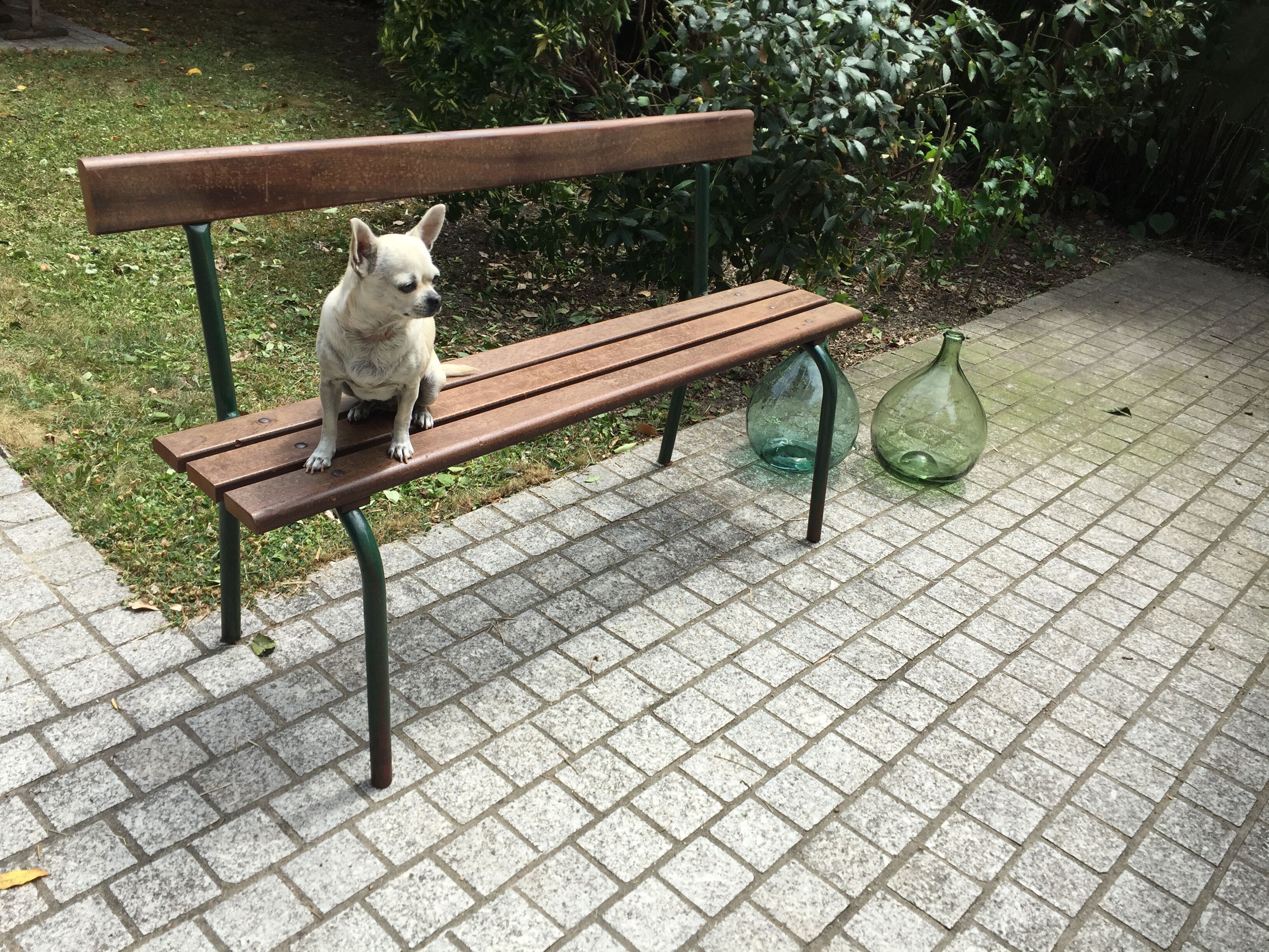 School bench with backrest