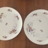 Set of 2 Limoges porcelain dishes