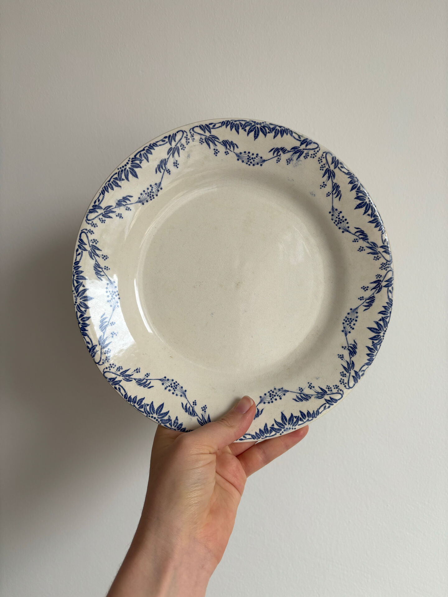 Service of 4 flat plates earthenware Creil and Montereau labrador – Mo