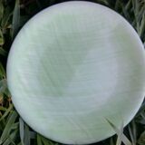 Salins mistral plate
