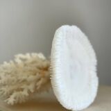 White coral on a natural base