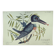 Old bird engraving -The Alcyon- Ornithological plate by Seligmann & Catesby. 1973