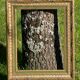 Frame carved wood and gilded stucco