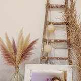 Beige opaline walker