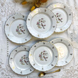 6 Limoges Berry porcelain plates with bird of paradise motif