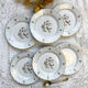 6 Limoges Berry porcelain plates with bird of paradise motif