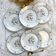 6 Limoges Berry porcelain plates with bird of paradise motif