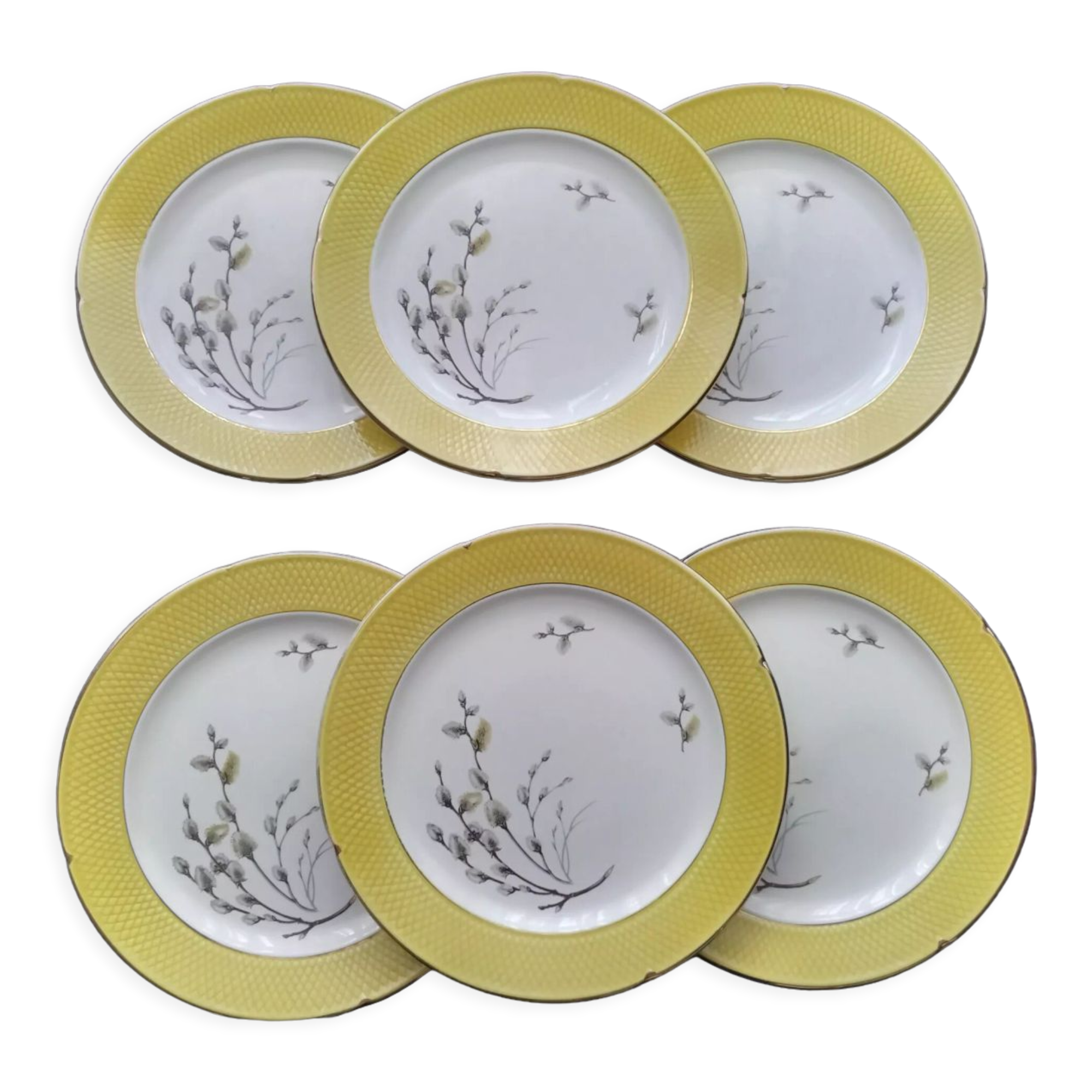 Set of 6 dessert plates Salins France