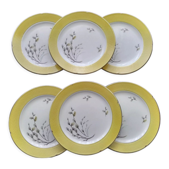 Set of 6 dessert plates Salins France