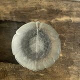 Lot de 6 petites assiettes en forme de feuille en verre vintage Arcoroc Asp