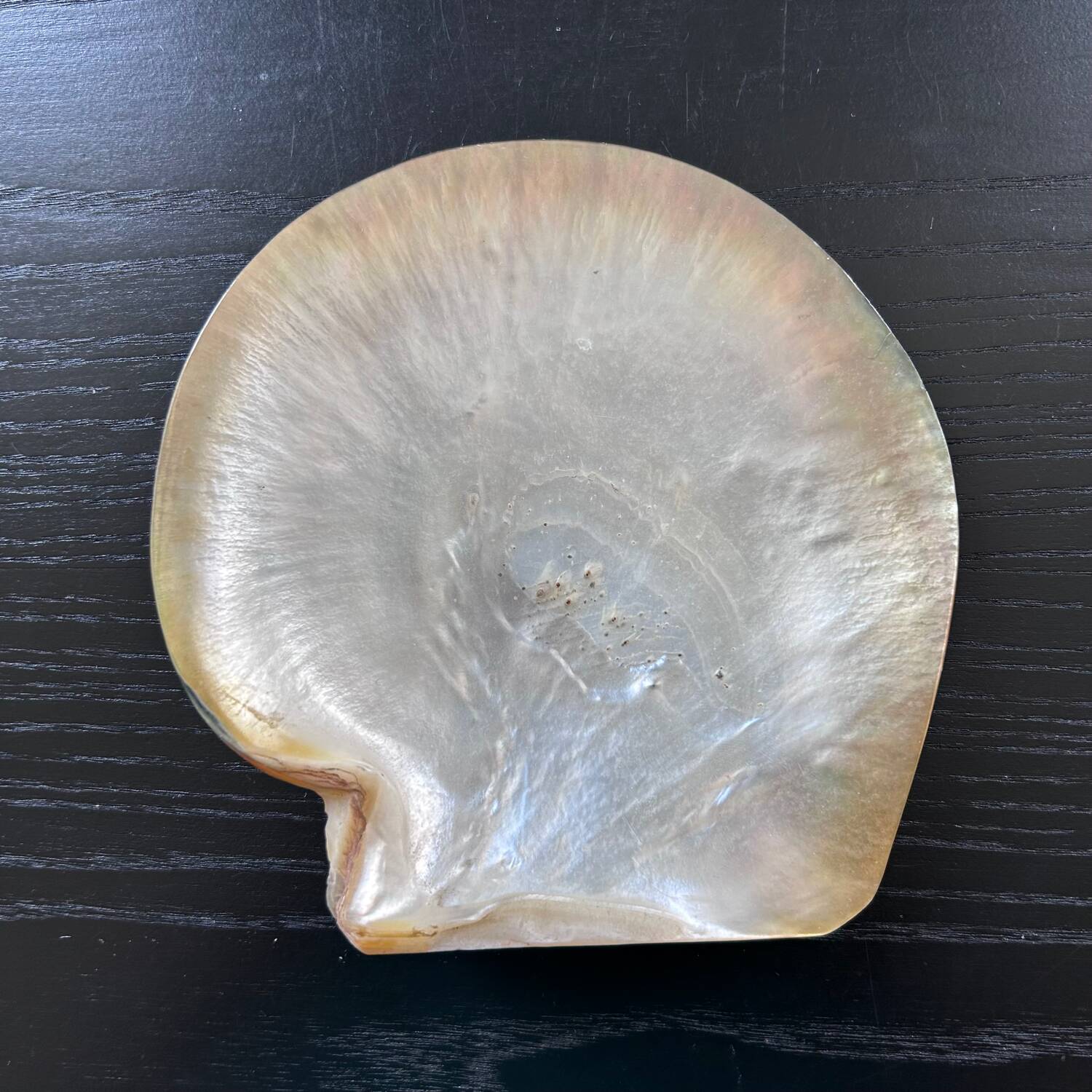 Mother-of-pearl shell emptier