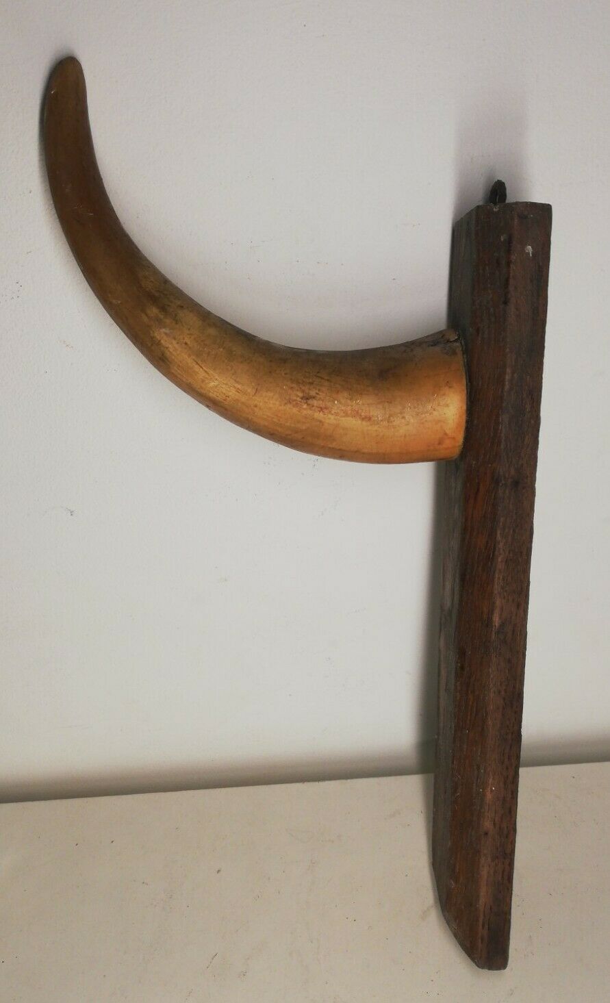 Cow horn coat holder